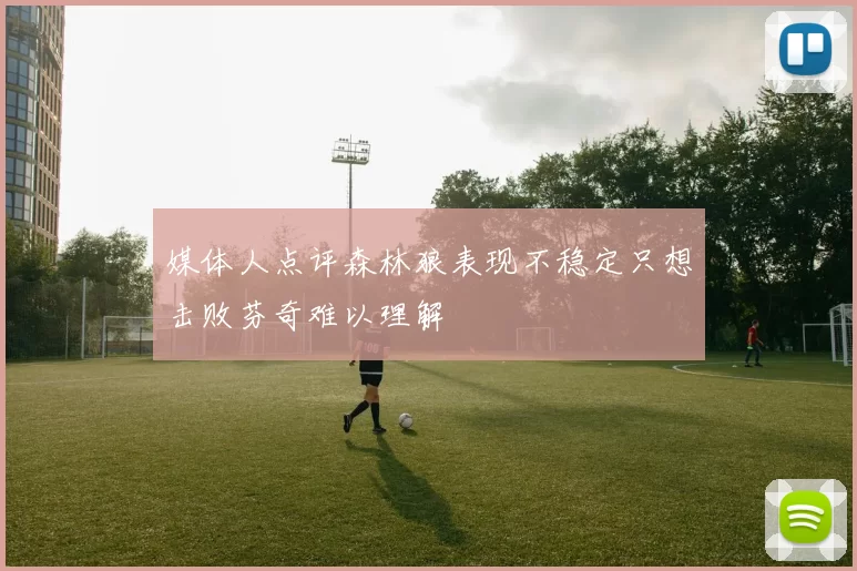 媒体人点评森林狼表现不稳定只想击败芬奇难以理解