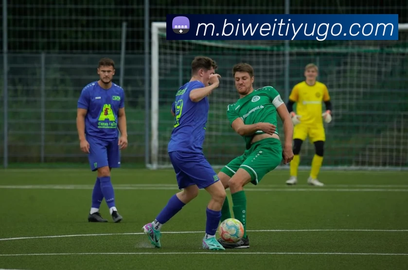 多媒体互动体验